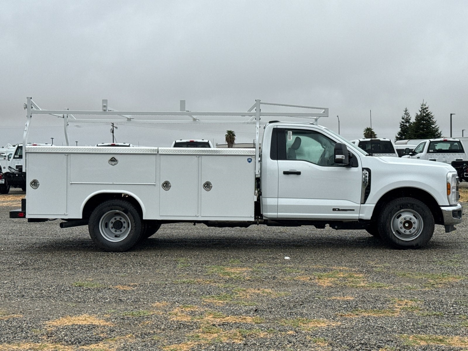 2025 Ford F-350SD XL DRW