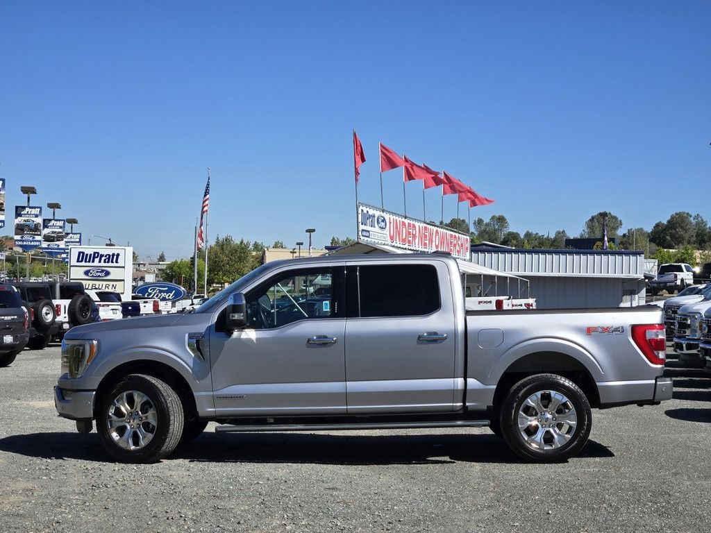 2023 Ford F-150 Platinum