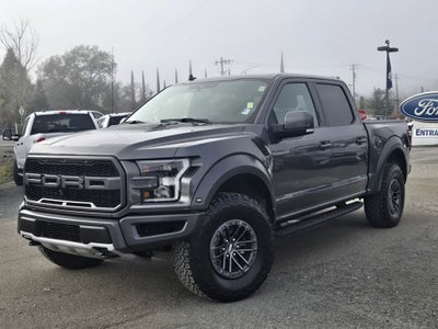 2019 Ford F-150 Raptor